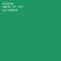 #1E9765 - Elf Green Color Image